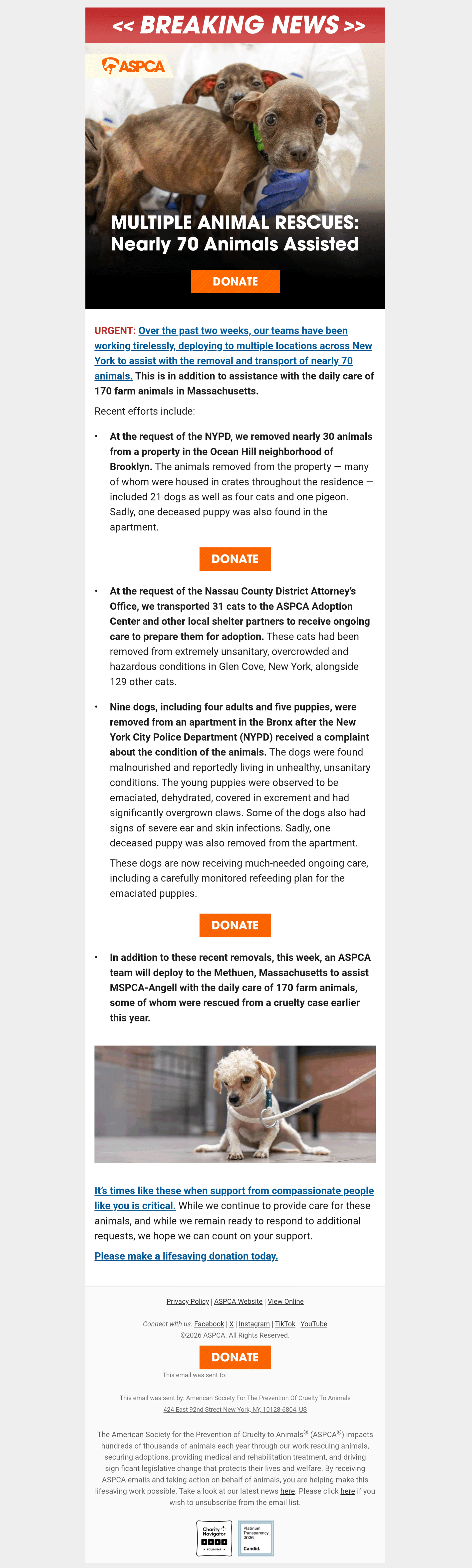 screenshot of breaking news email