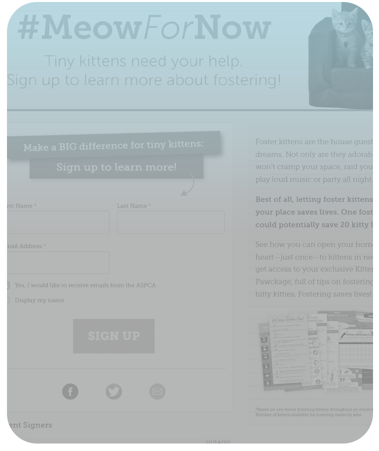 Meow for Now landing page thumbnail