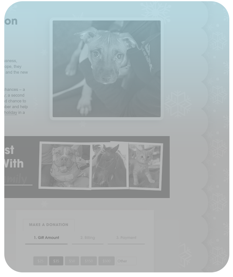 2024 Second Chances landing page thumbnail