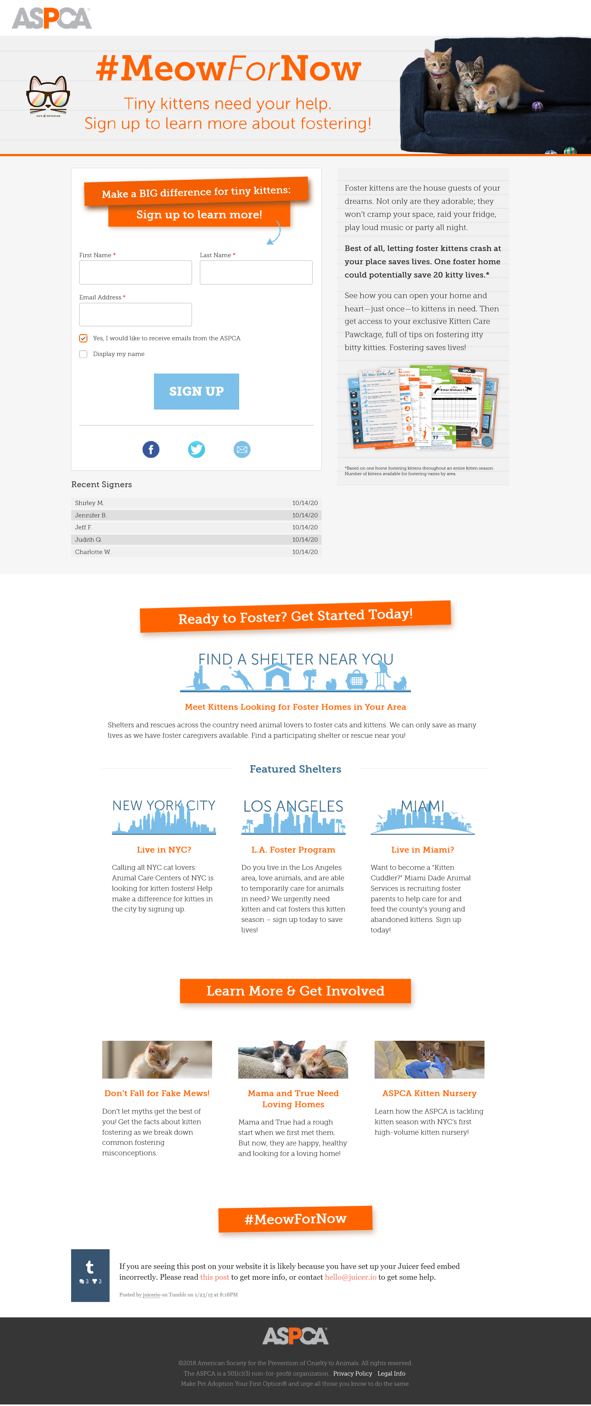 screenshot of Meow for Now landing page