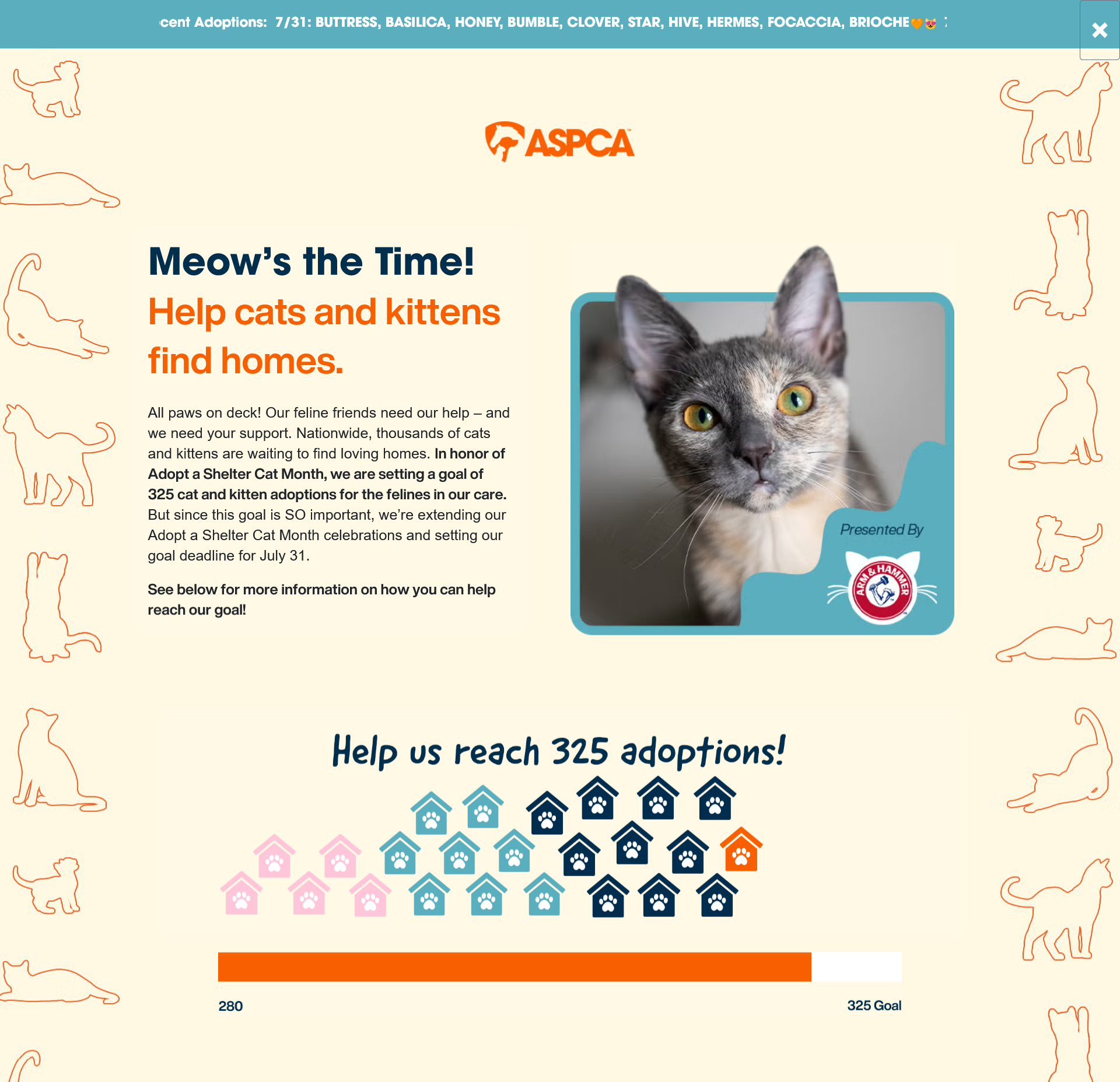 cropped screenshot of Adopt a Shelter Cat Month landing page